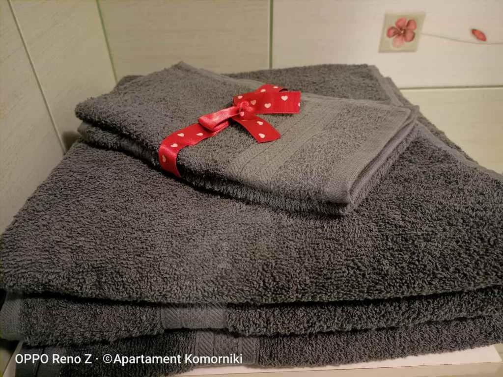 Apartament Komorniki Komorniki  Esterno foto